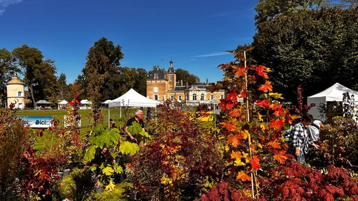 Couleurs d’automne devant le château